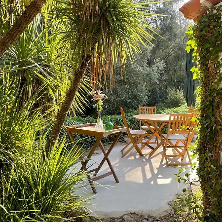 Nativo - Nature With Kitchenette And Private External Bathroom Nazare