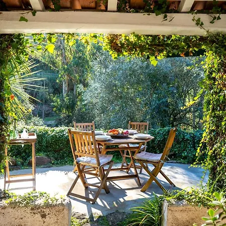 Nativo - Nature With Kitchenette And Private External Bathroom * Nazaré