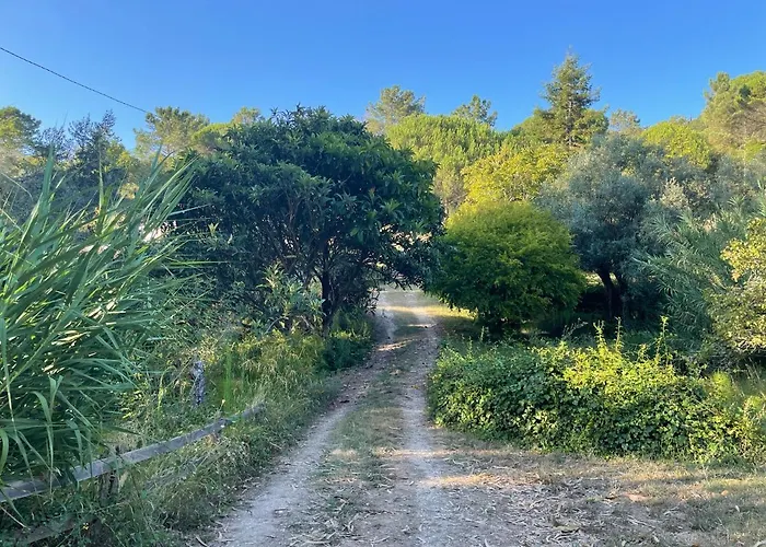 Nativo - Nature With Kitchenette And Private External Bathroom Деревянный коттедж Назаре