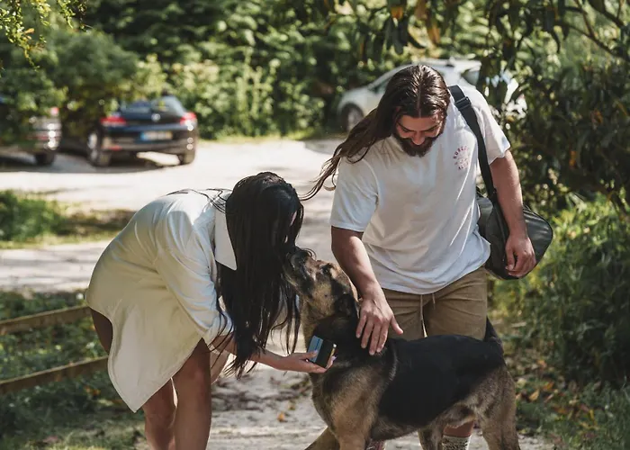 Nativo - Nature With Kitchenette And Private External Bathroom Деревянный коттедж Назаре